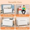 Kids Wooden Toy Box Storage with Safety Hinged Lid for Ages 3+ (White)