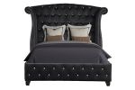 Sophia Queen 5 Pc Upholstery Bedroom Set Made With Wood in Black